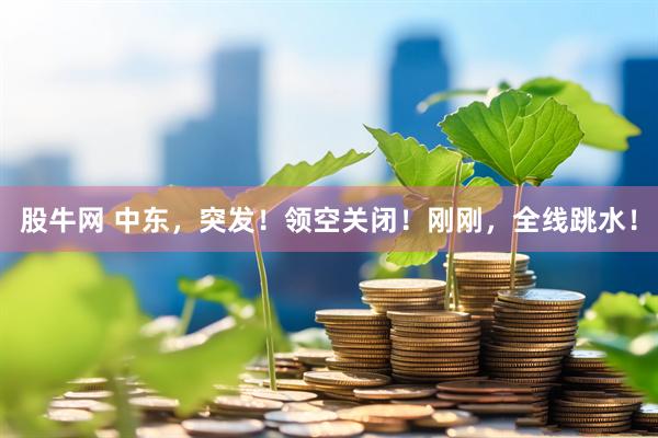 股牛网 中东，突发！领空关闭！刚刚，全线跳水！